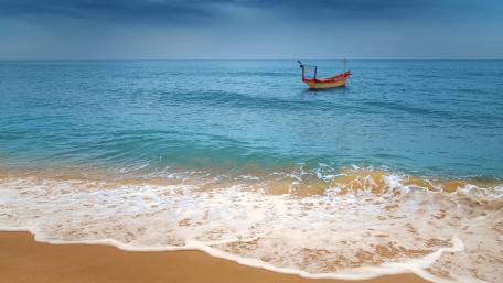 Serene Tropical Escape wallpaper