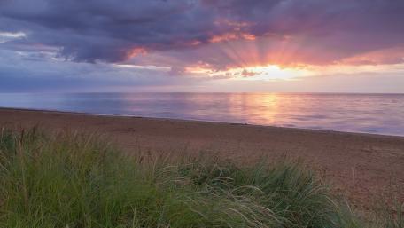 Serene Dawn at the Beach wallpaper