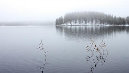 Tranquil Winter Lake Reflection wallpaper