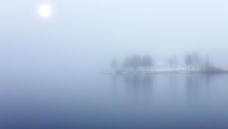 Mysterious Serenity in a Foggy Landscape wallpaper
