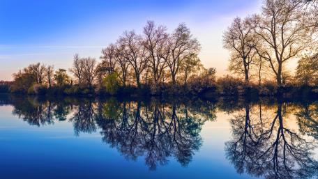 Spring tranquility wallpaper