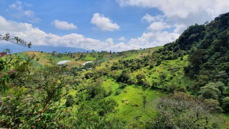 La Chorrera Park wallpaper