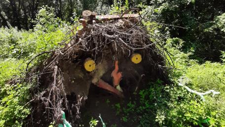 Whimsical Nature Sculpture Revealed in the Wilds wallpaper