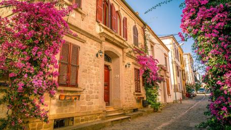Charming Streets with Bougainvillea Blossoms wallpaper