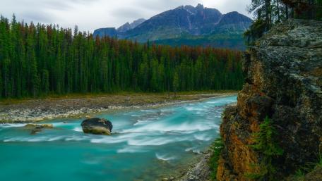 Serene Wilderness by a Mountain River wallpaper