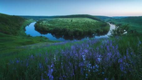 Serene River Bend Among Vibrant Wildflowers wallpaper