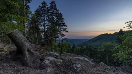 Majestic Highland Ridge at Dusk wallpaper