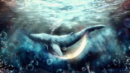 Majestic Whale in Dreamy Waters wallpaper