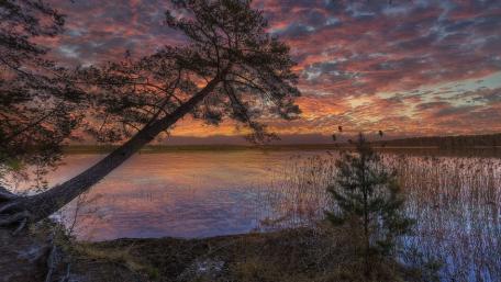 Serene Purple Sunset Over Tranquil Lake wallpaper