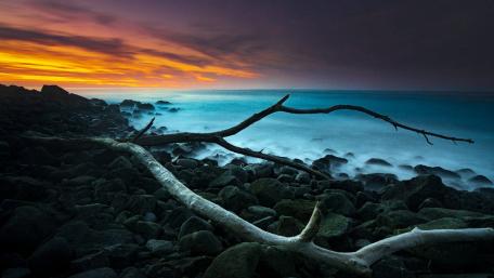 Serene Sunset by the Sea wallpaper