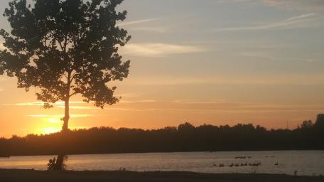 Sunset Serenity Over the Water wallpaper