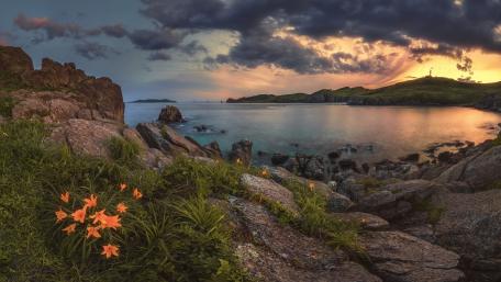 Tranquil Sunset Over Coastline Flowers and Rocks wallpaper