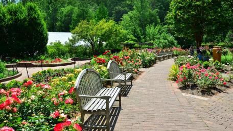 Serene Escape in a Vibrant Garden Pathway wallpaper