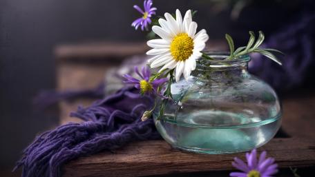 Delicate Wildflowers in Glass Vase wallpaper