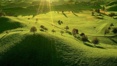 Lush Green Hills Under Sunlight wallpaper