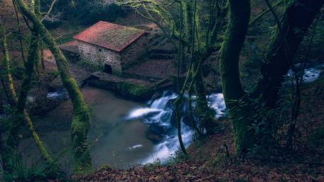 Serene Forest Waterfall Escape wallpaper