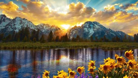 Jackson Lake, Grand Teton National Park wallpaper