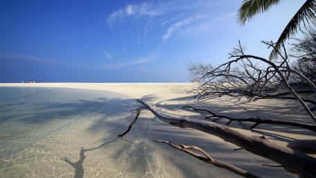 Serenity of a Tranquil Beach Scene wallpaper
