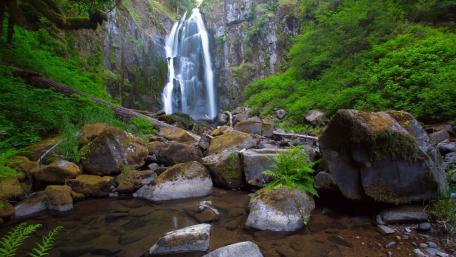 Cascading Serenity Amidst Nature's Canvas wallpaper