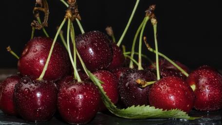 Juicy Cherries Glistening with Fresh Rain Drops wallpaper