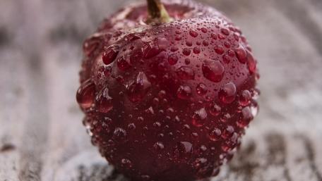 Shiny Red Apple with Water Droplets in Focus wallpaper
