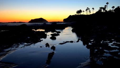 Serene Sunset Over Coastal Rocks and Palms wallpaper