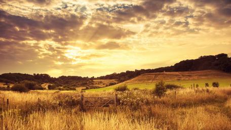 Golden Sunset Over Rolling Fields wallpaper
