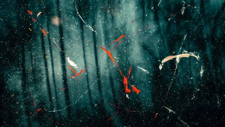 Paint Blur Splashes Abstraction wallpaper