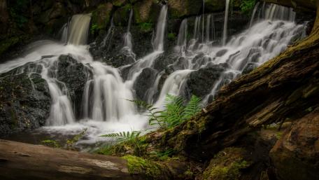Serene Waterfall Flowing Through Nature's Embrace wallpaper