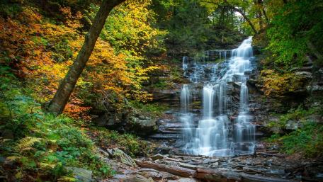 Ricketts Glen State Park wallpaper