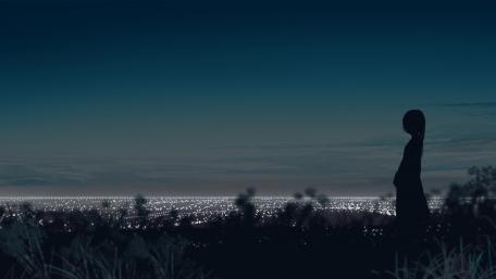 City Lights and Evening Silhouette wallpaper