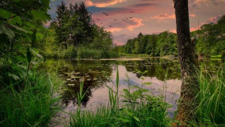 Tranquil Wilderness Reflections wallpaper