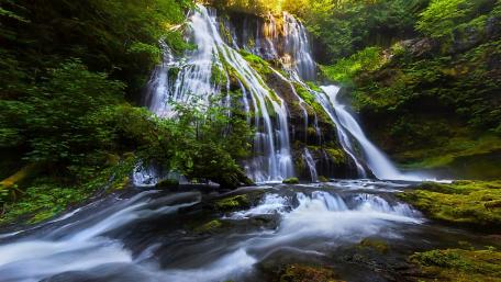 Serene Waterfall Embraced by Lush Greenery wallpaper