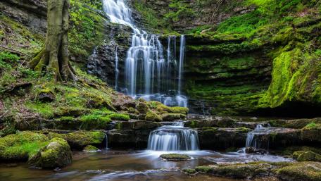 Tranquil Waterfall in Lush Greenery wallpaper