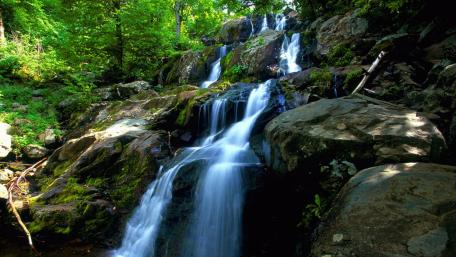 Tranquil Waters of Nature's Serenity wallpaper