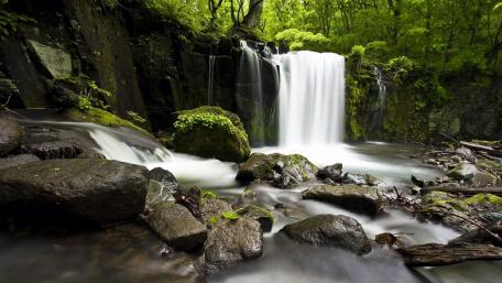 Serene Waterfall Surrounded by Lush Greenery wallpaper