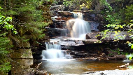 Serene Waterfall in a Tranquil Forest Setting wallpaper