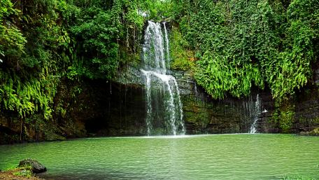 Serenity by the Waterfall wallpaper