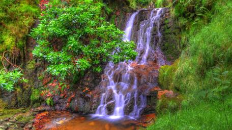 Serene Waterfall in Lush Greenery wallpaper