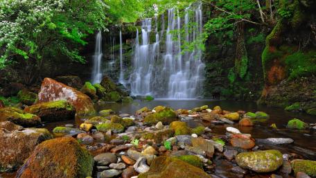 Serene Cascade in Lush Greenery wallpaper