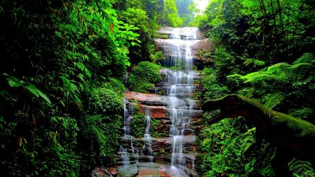 Majestic Waterfall in Lush Jungle Scene wallpaper