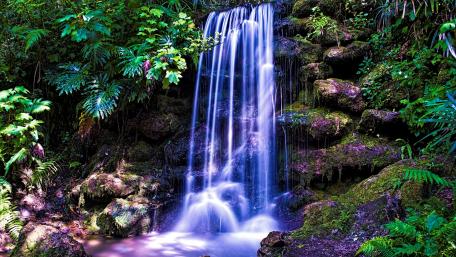 Tranquil Waterfall in Lush Greenery wallpaper