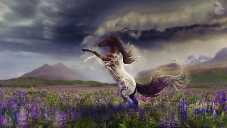 Majestic Fawn in a Dreamy Meadow wallpaper