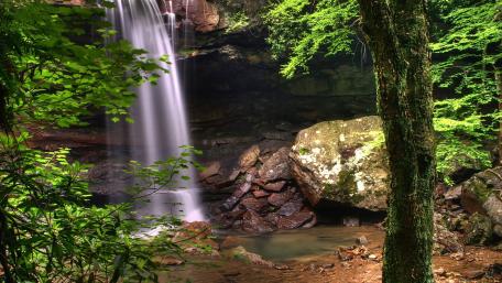 Enchanting Forest Waterfall Scene wallpaper