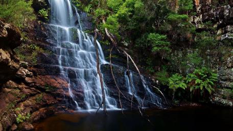 Majestic Waterfall in Serene Forest Scene wallpaper