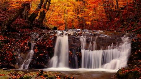 Autumn's Serenity with Flowing Waters wallpaper