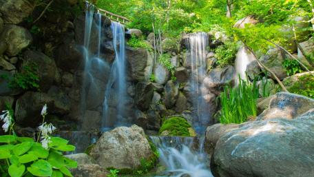 Serene Waterfall Surrounded by Nature's Beauty wallpaper