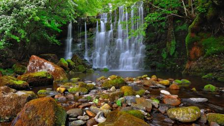 Serene Waterfall Surrounded by Lush Greenery wallpaper