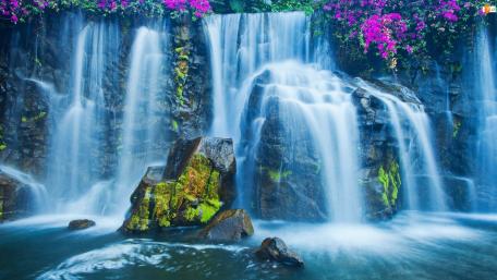Serene Waterfall Surrounded by Vibrant Flora wallpaper