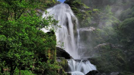 Majestic Waterfall Amidst Vibrant Greenery wallpaper
